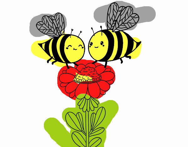 Pareja de abejas