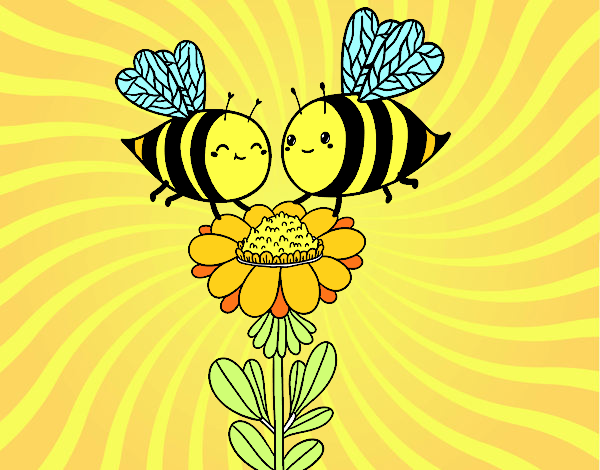 Pareja de abejas