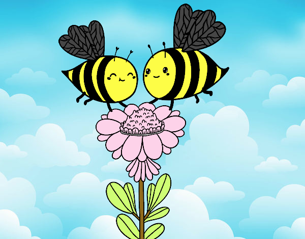 Pareja de abejas