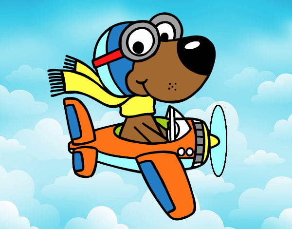 Perro piloto