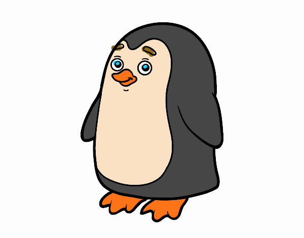 pinguino