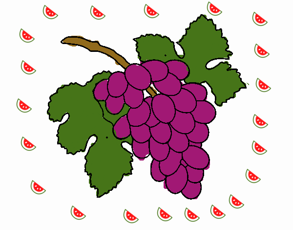 Racimo de uvas