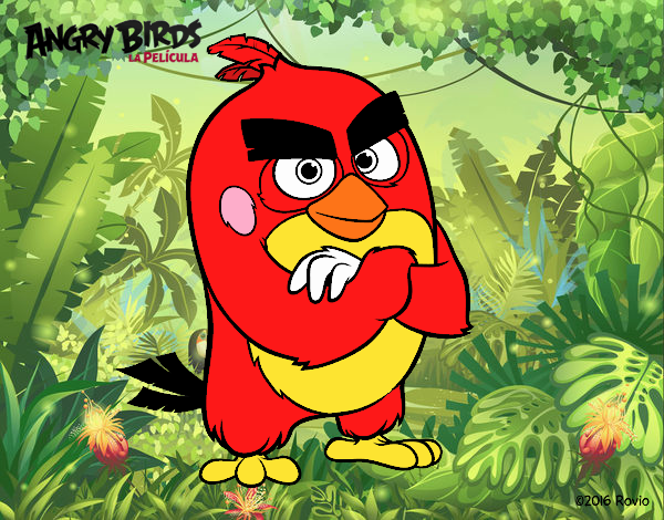 El Angry birds de mathieu