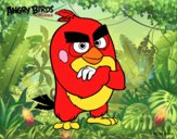 Red de Angry Birds