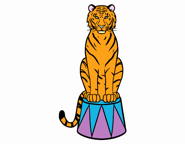 dibujo de tigre 