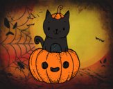 Un gatito de Halloween