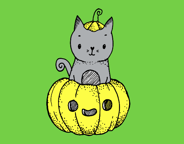 Un gatito de Halloween