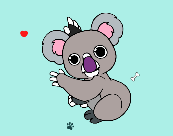 Un Koala