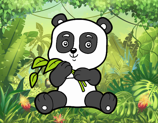 pandita