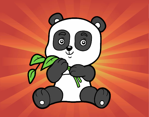 Un oso panda