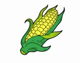 Una mazorca de maíz