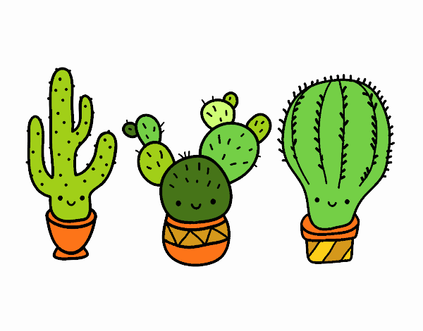 TRES MINICACTUS