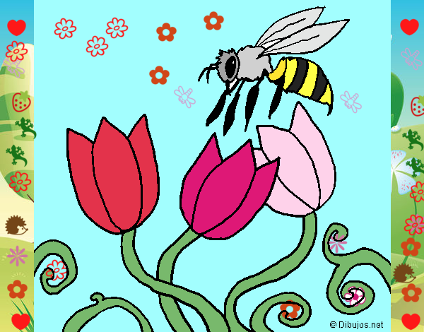 Abeja 3