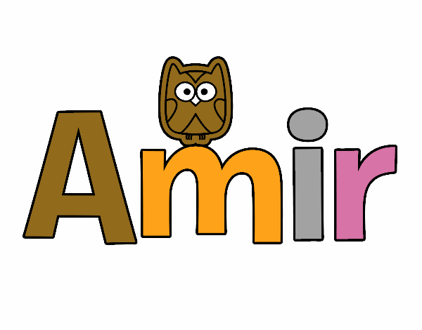 amir