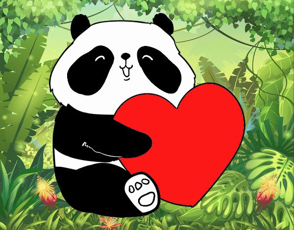 Amor Panda