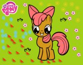 Apple Bloom