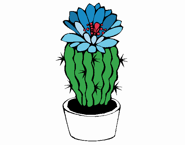 Cactus con flor