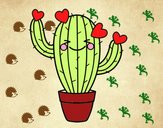 Cactus corazón