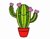 Cactus corazón