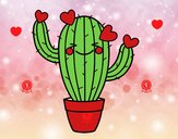 Cactus corazón