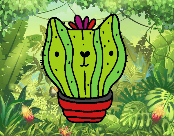 Cactus gato