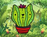 Cactus gato