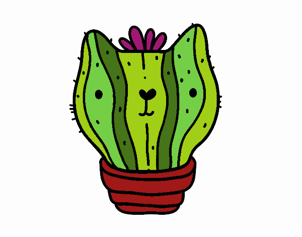 CACTUS GATO