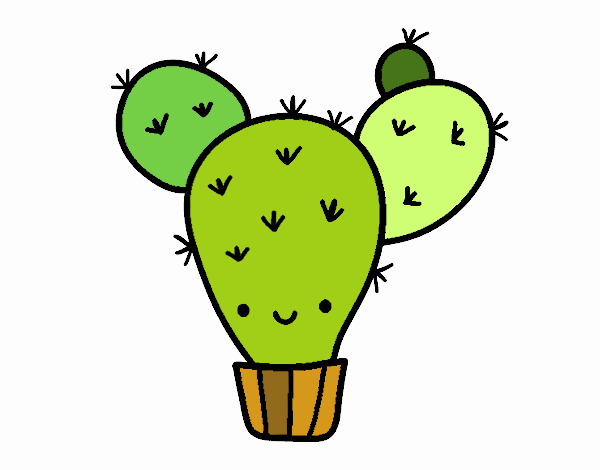 Cactus nopal