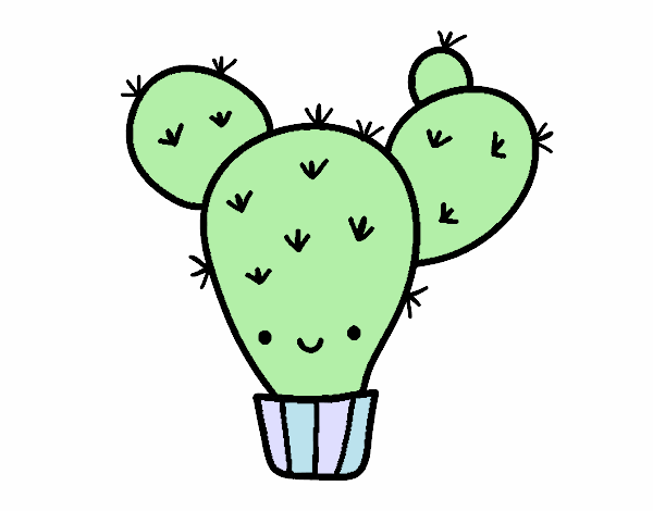 Cactus nopal