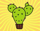 Cactus nopal