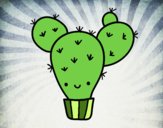 Cactus nopal