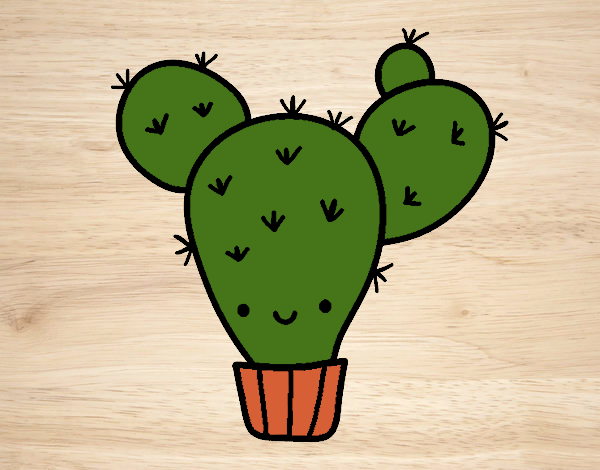 Cactus nopal