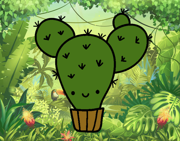 Cactus nopal