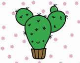 Cactus nopal