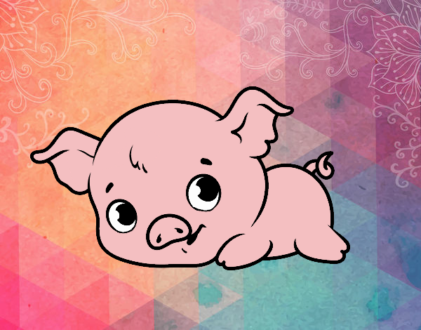 Cerdito bebé