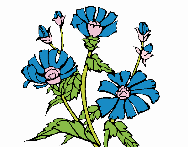 FLORES AZULES