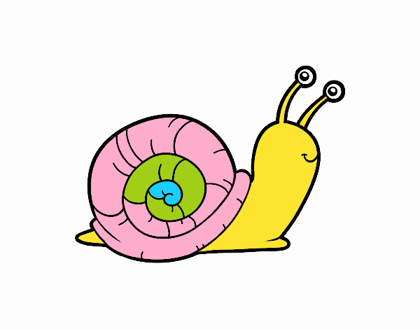 El caracol