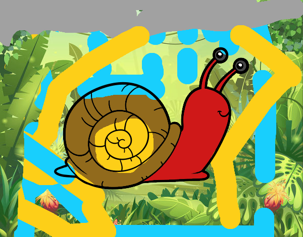 El caracol