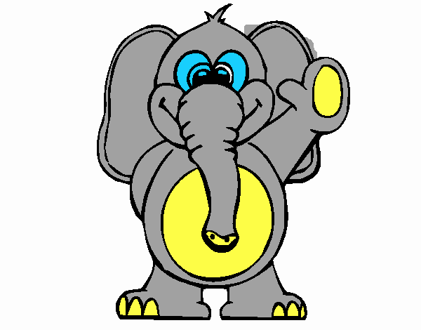 Elefante 2