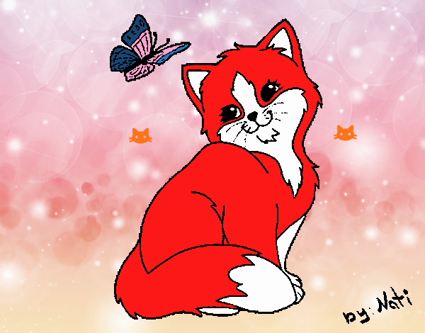 Gatito y mariposa