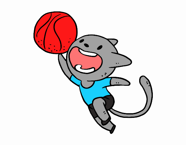 Gato jugando a baloncesto