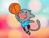 Gato jugando a baloncesto