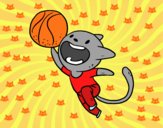 Gato jugando a baloncesto