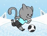 Gato jugando a fútbol