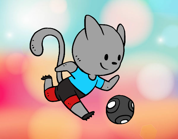 Gato jugando a fútbol