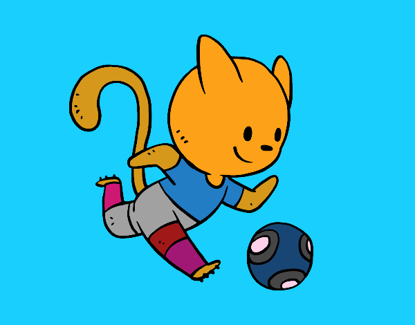 Gato jugando a fútbol