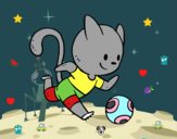 Gato jugando a fútbol