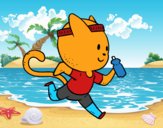 Gato runner