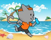 Gato runner