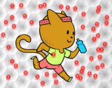 Gato runner